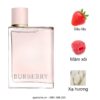 nuoc-hoa-Burberry-Her-EDP-mui-huong