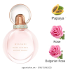 Bvlgari-Rose-Goldea-Blossom-Delight-EDT-mui-huong