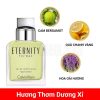 Calvin-Klein-Enternity-For-Men-EDT-mui-huong