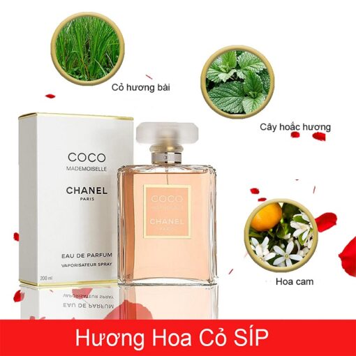 Chanel-Coco-Mademoiselle-EDP-mui-huong