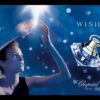 Chopard-Wish-EDP-apa-niche-gia-tot.