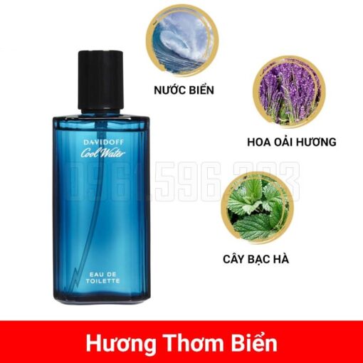 Davidoff-Cool-Water-For-Men-EDT-mui-huong