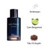 Dior-Sauvage-EDP-mui-huong