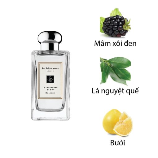 Jo-Malone-Blackberry-Bay-Cologne-mui-huong