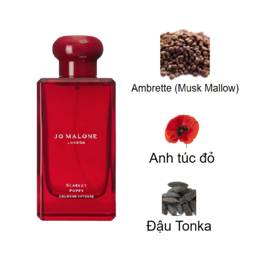 Jo-Malone-Scarlet-Poppy-Cologne-Intense-mui-huong