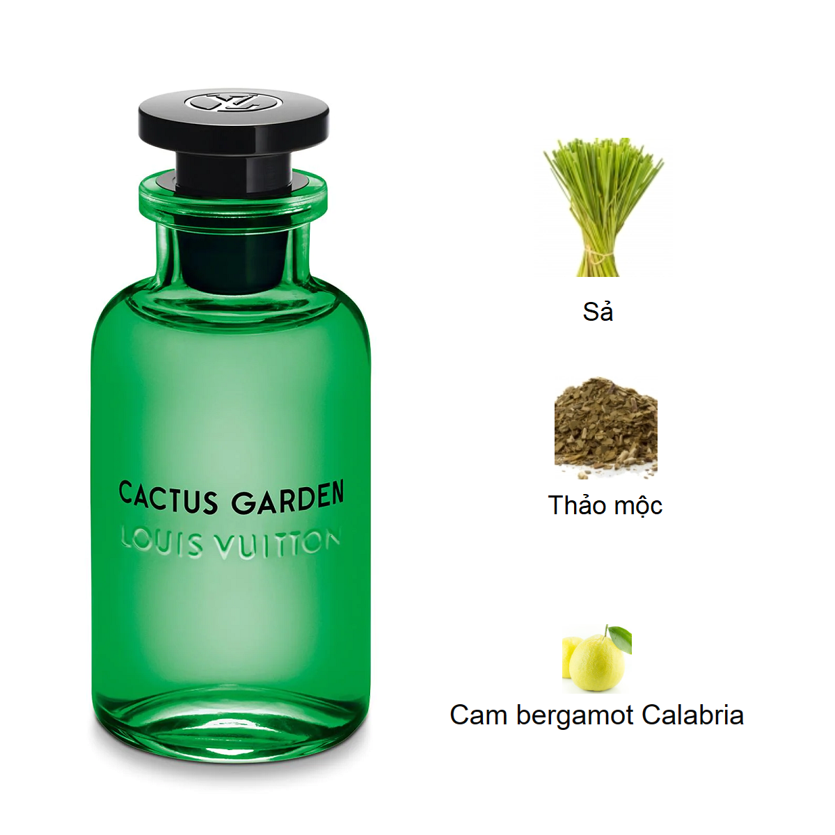 Louis-Vuitton-Cactus-Garden-mui-huong