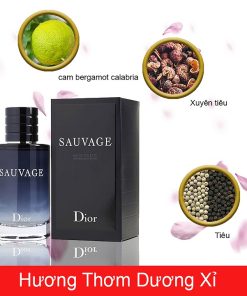 Dior-Sauvage-EDT-mui-huong