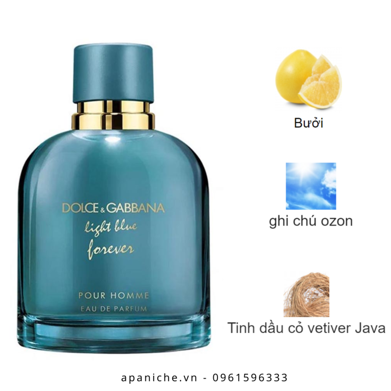 Dolce-Gabbana-Light-Blue-Forever-Pour-Homme-mui-huong