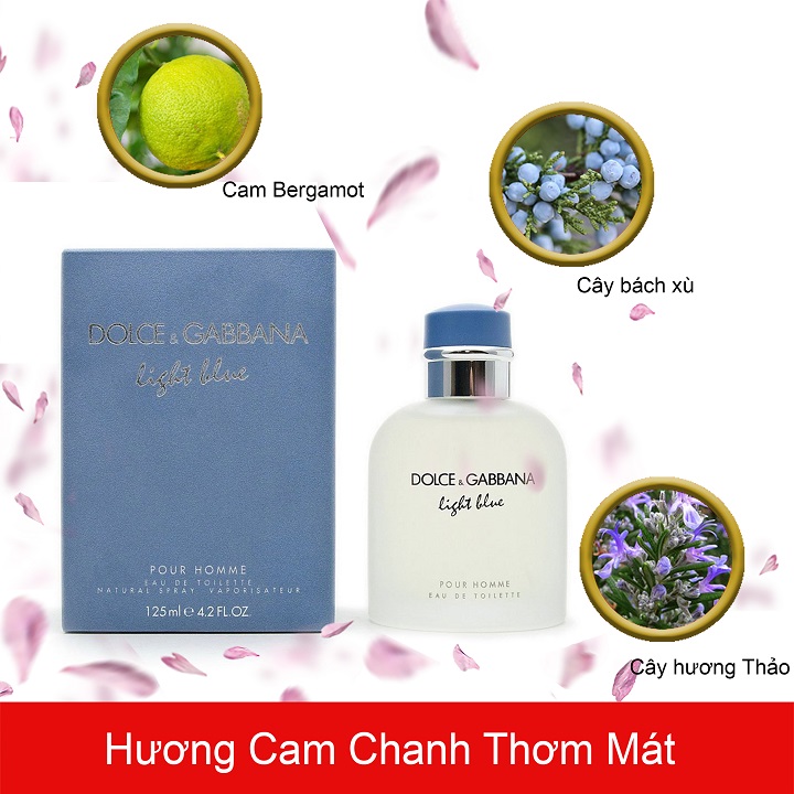 Dolce-Gabbana-Light-Blue-Pour-Homme-EDT-mui-huong