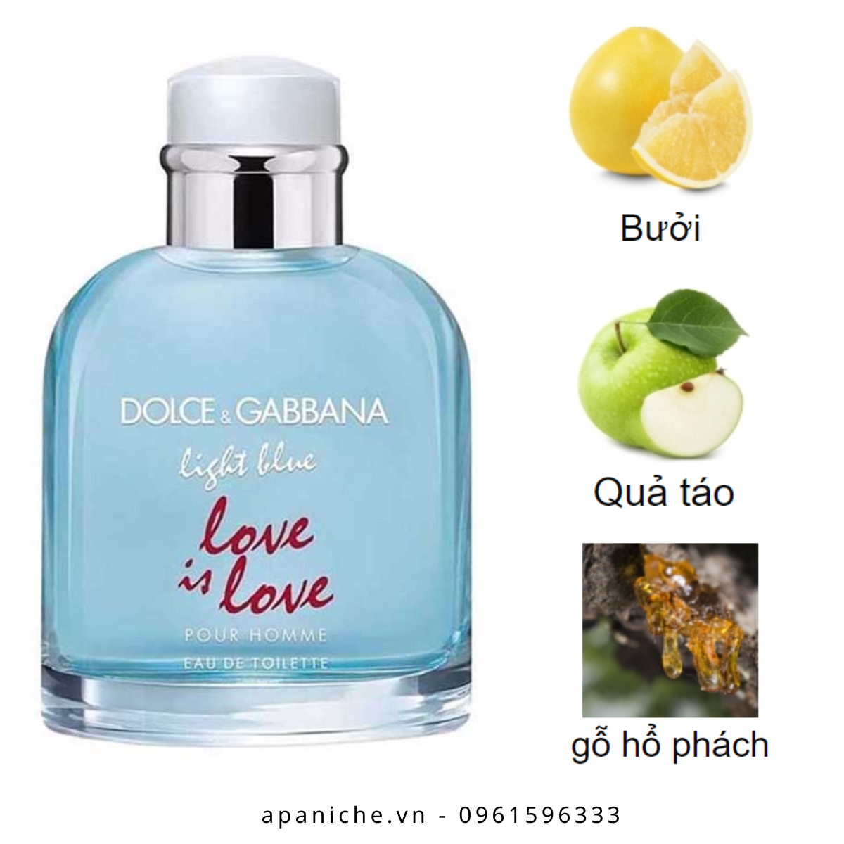 Dolce-Gabbana-Light-Blue-Pour-Homme-Love-is-Love-EDT-mui-huong