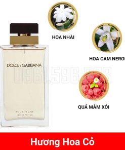 Dolce-Gabbana-Pour-Femme-EDP-mui-huong