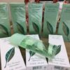 Elizabeth-Arden-Green-Tea-EDP-gia-tot-nhat