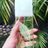 Elizabeth-Arden-Green-Tea-EDP-tai-ha-noi
