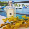 Jo-malone-Mimosa-Cardamom-Cologne-chinh-hang