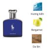 Ralph-Lauren-Polo-Blue-EDP-mui-huong