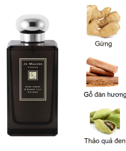 Jo-malone-Dark-Amber-Ginger-Lily-Cologone-mui-huong