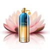 montale-paris-aoud-lagoon-chinh-hang