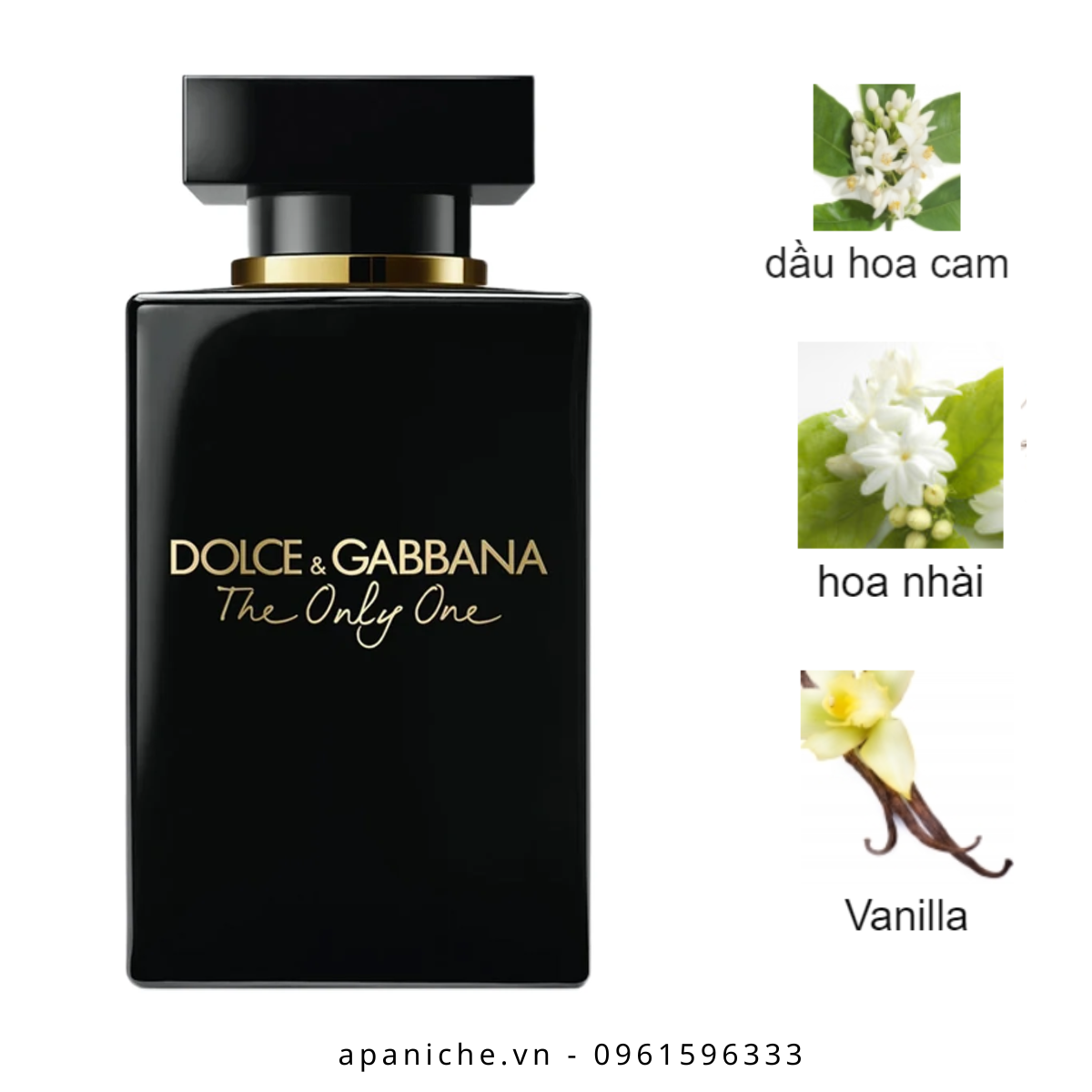 Dolce-Gabbana-The-Only-One-Intense-For-Women-EDP-mui-huong