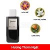 Franck-Boclet-Cocaine-EDP-mui-huong