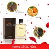 HermesTerre-dHermes-EDT-mui-huong