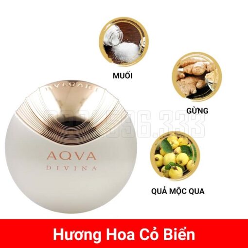 bvlgari-Aqva-Divina-mui-huong