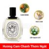 diptyque-eau-des-sens-edt-mui-huong