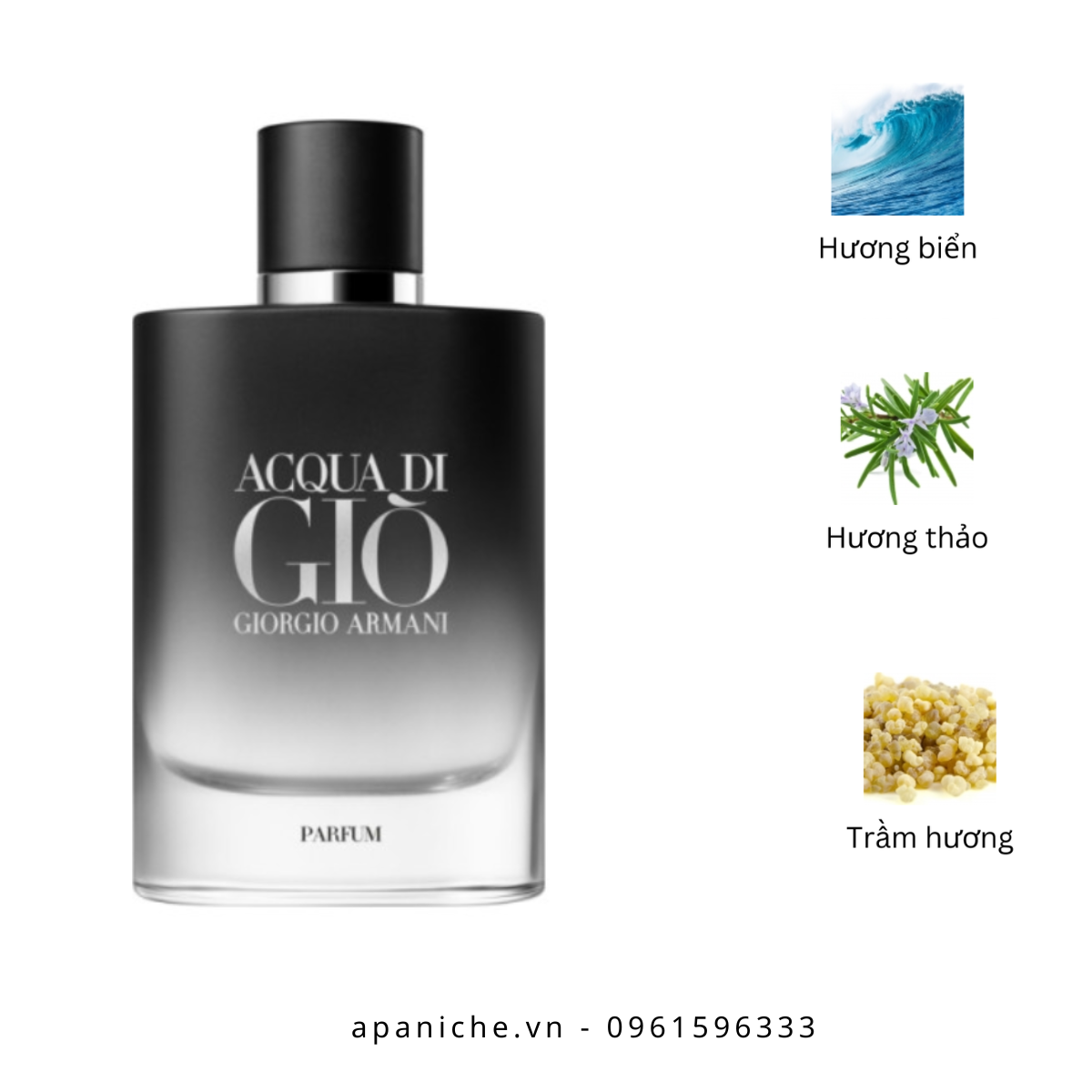 Giorgio-armani-Acqua-Di-Gio-Parfum-mui-huong