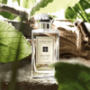 Jo-malone-wood-sage-sea-salt-cologne-chinh-hang.png