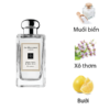 Jo-malone-wood-sage-sea-salt-cologne-mui-huong