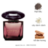 Versace-Crystal-Noir-EDT-mui-huong