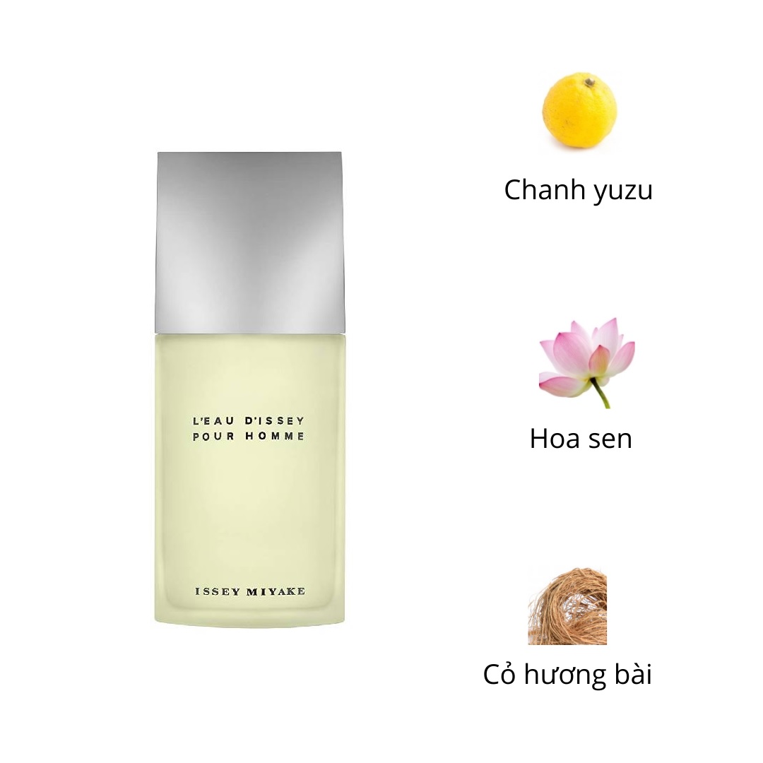 nuoc-hoa-Issey-Miyake-L'Eau-d'Issey-Pour-Homme-mui-huong