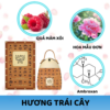 set-mcm-mini-7ml-4pcs-mui-huong