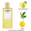 Loewe-Agua-EDT-mui-huong