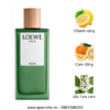 Loewe-Agua-Miami-EDT-mui-huong