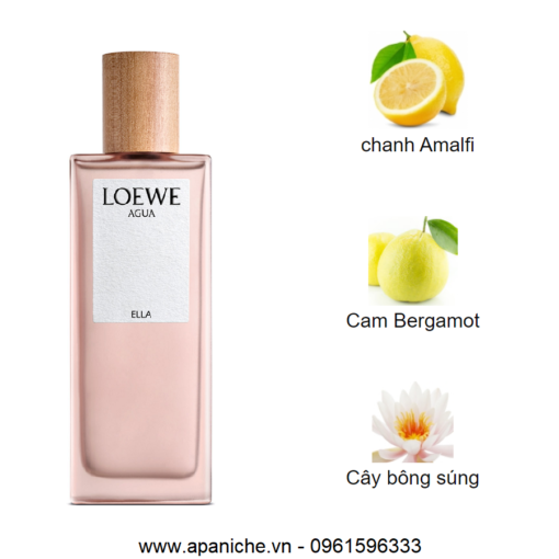 Loewe-Aqua-Ella-EDT-mui-huong