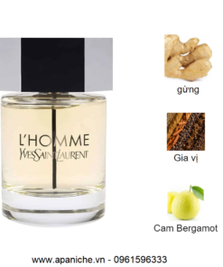 Yves-Saint-Laurent-L-Homme-EDT-mui-huong