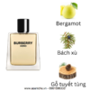 Burberry-Hero-EDT-mui-huong