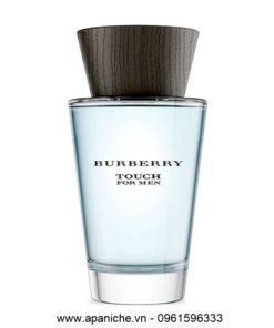 Burberry-Touch-for-Men-EDT-apa-niche