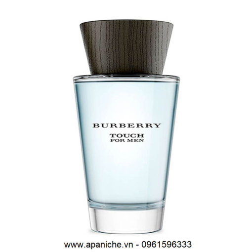 Burberry-Touch-for-Men-EDT-apa-niche