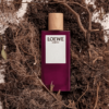 Loewe-Earth-EDP-chinh-hang