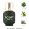 Loewe-Esencia-Pour-Homme-EDT-mui-huong