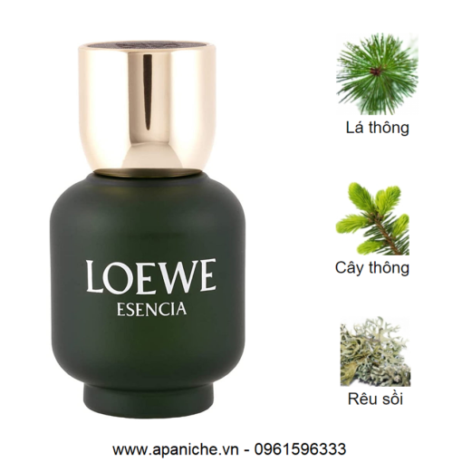 Loewe-Esencia-Pour-Homme-EDT-mui-huong