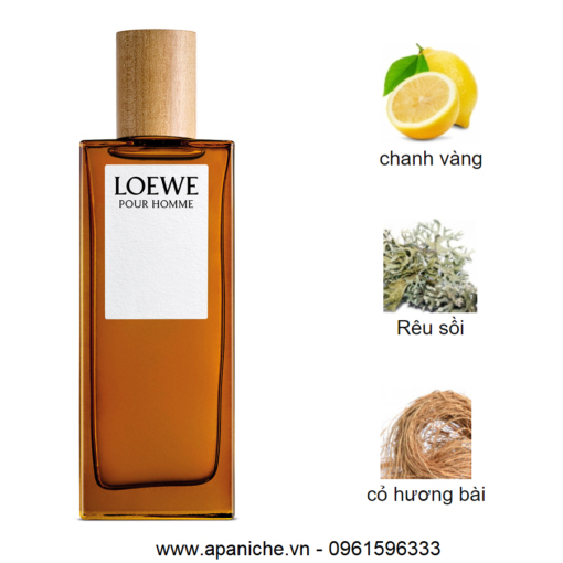 Loewe-Pour-Homme-EDT-mui-huong