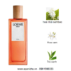 Loewe-Solo-Ella-EDT-mui-huong