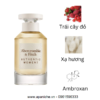 Abercrombie-Fitch-Authentic-Moment-Woman-EDP-mui-huong