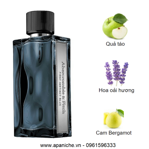 Abercrombie-Fitch-First-Instinct-Blue-EDT-mui-huong
