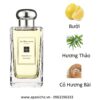 Jo-Mlone-Grapefruit-Cologne-mui-huong