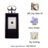 Jo-malone-Orris-Sandalwood-Cologne-mui-huong