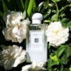 Jo-malone-Star-Magnolia-Cologne-tai-ha-noi