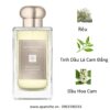 Jo-malone-White-Moss-Snowdrop-Cologne-mui-huong